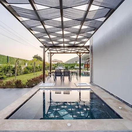 Alina * 费特希耶