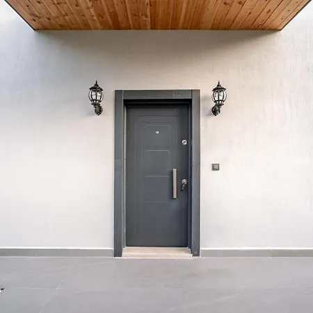 别墅 Alina 费特希耶